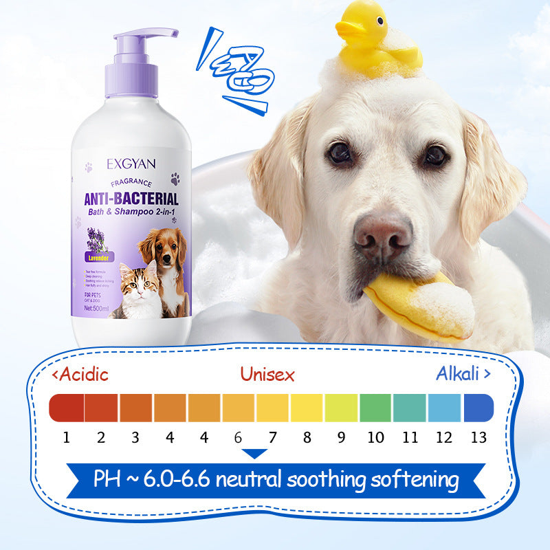 All English EXGYAN Pet Kitten Puppy, Lavender Bath Shampoo 2-in-1