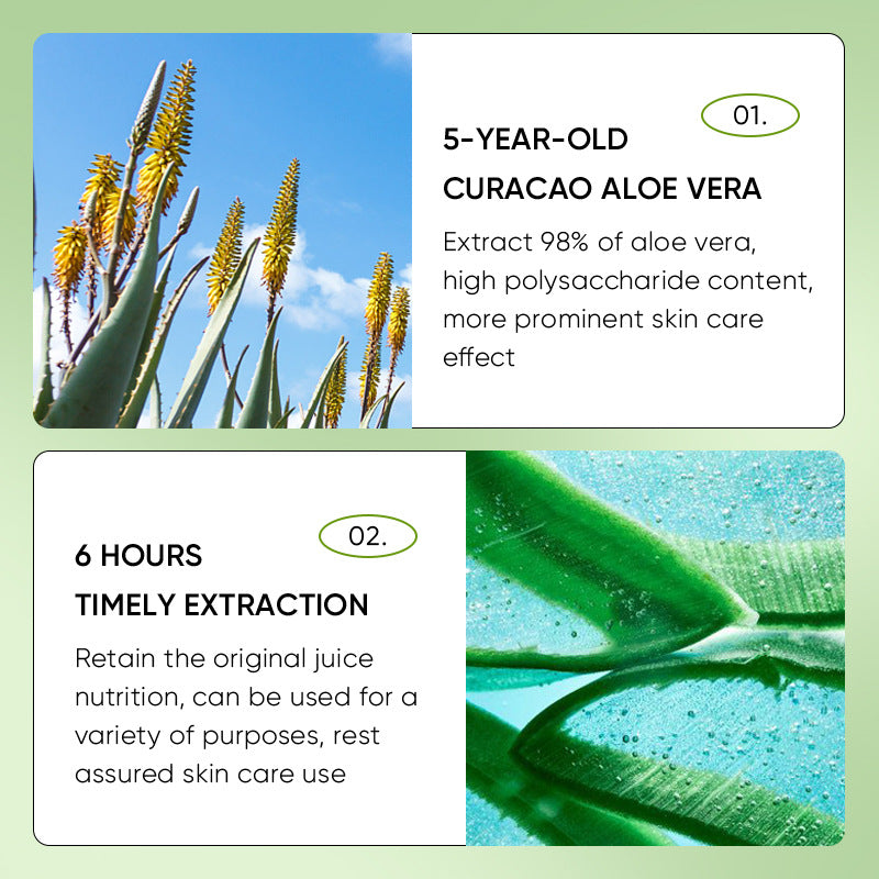 Aloe Vera Good Night Frozen Film Hydrating Moisturizing Moisturizing Skin Aloe Vera Apply Leave-in Mask