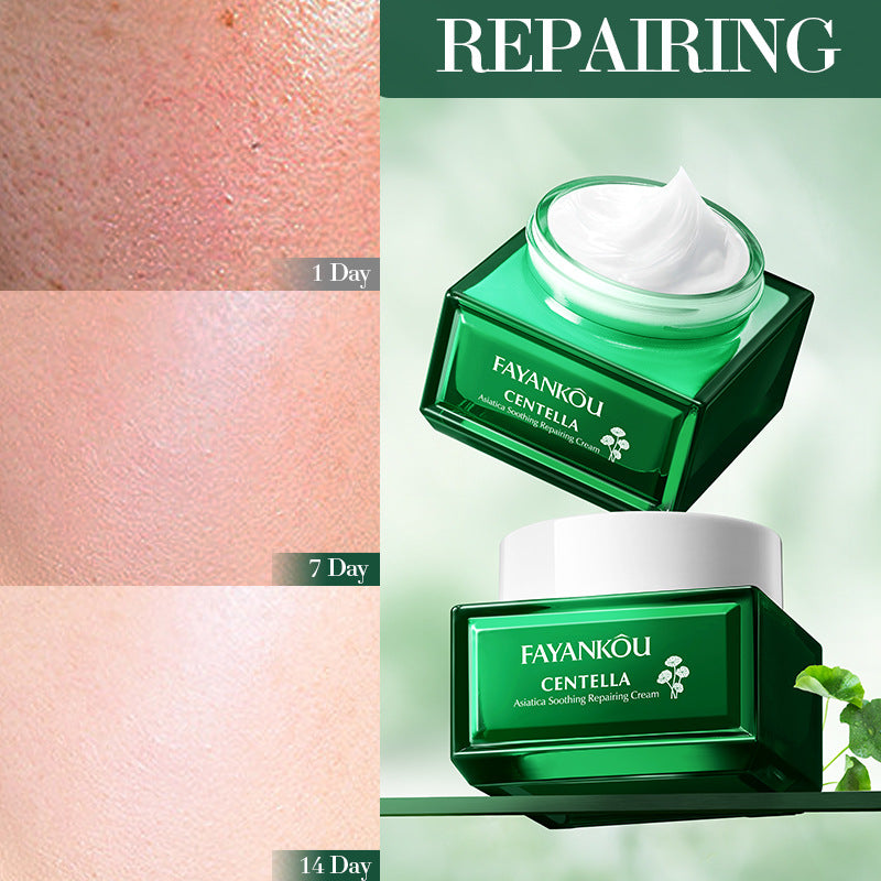 All English FAYANKOU Centella Soothing Repair Cream, Moisturizing and Rejuvenating Cream