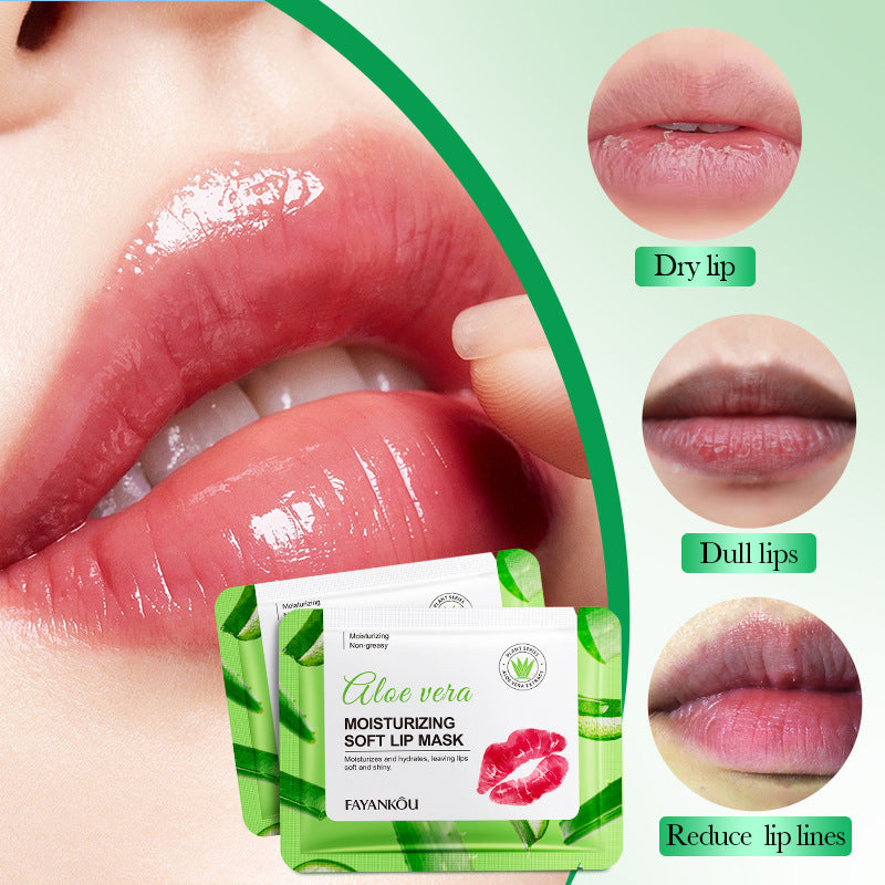 Aloe Vera Moisturizing Lip Mask, Nourishing Lips and Anti-chapped Lip Mask